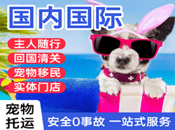 巴马机场货运国际宠物托运 【国